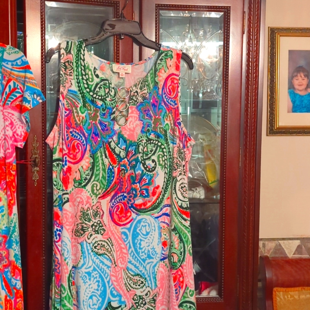 XL Ivy Road Dress